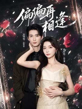 偏偏再相逢 - 女频恋爱 2025