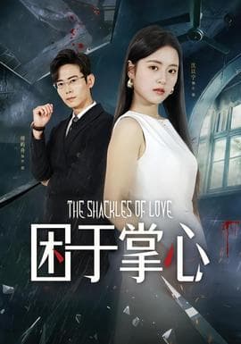 困于掌心 - 现代都市 (2025) 海报