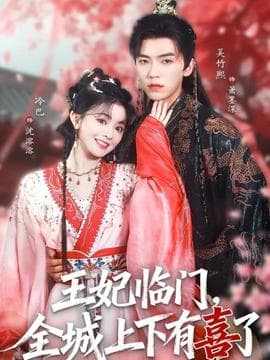 王妃临门全城上下有喜了 - 古装仙侠 2025