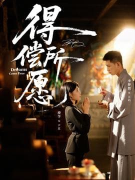 得偿所愿 - 现代都市 2025