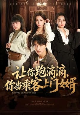 让你跑滴滴，你当乘客上门女婿 - 现代都市 (2025) 海报