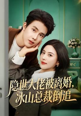 隐世大佬被离婚，冰山总裁倒追 - 现代都市 2026