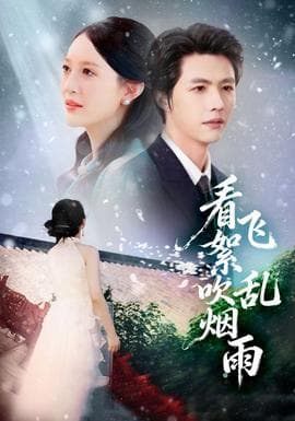 看飞絮吹乱烟雨 - 现代都市 2026