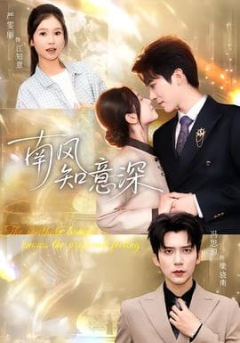 南风知意深 - 女频恋爱 2026