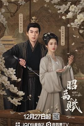 昭离赋 - 国产剧 2025