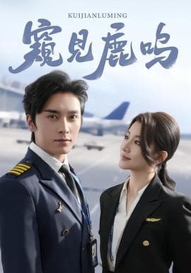 窥见鹿鸣 - 现代都市 (2026) 海报