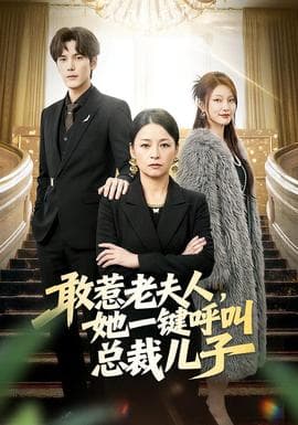 敢惹老夫人，她一键呼叫总裁儿子 - 现代都市 2026