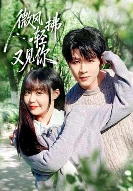微风轻拂又见你 - 女频恋爱 (2026) 海报