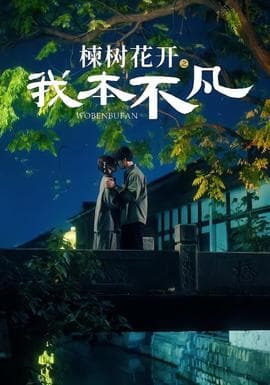 楝树花开之我本不凡 - 现代都市 (2026) 海报