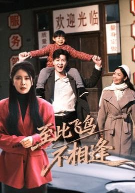 到此飞鸟不相逢 - 年代穿越 (2026) 海报