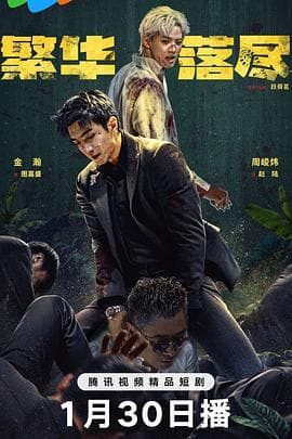 繁华落尽 - 国产剧 2026