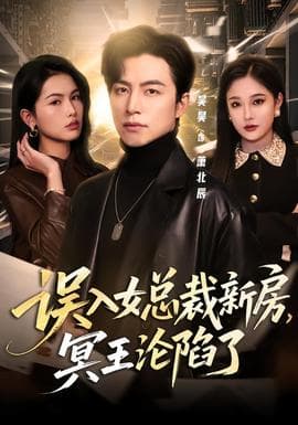 误入女总裁新房，冥王沦陷了 - 现代都市 (2026) 海报