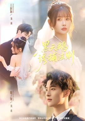 黑天鹅诱捕法册 - 现代都市 (2026) 海报