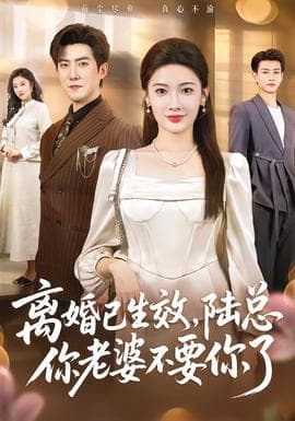 离婚已生效，陆总你老婆不要你了 - 现代都市 (2026) 海报