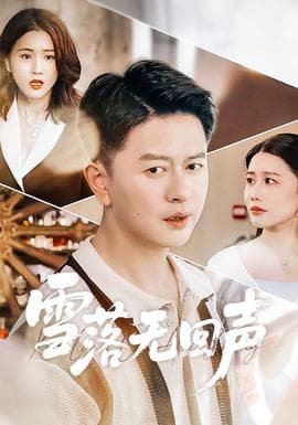 雪落无回声 - 现代都市 (2026) 海报