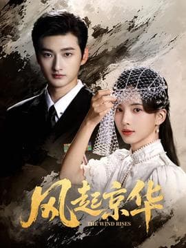 风起京华 - 现代都市 (2026) 海报