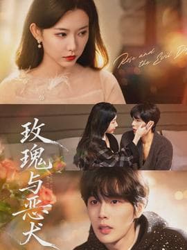 玫瑰与恶犬 - 现代都市 2026