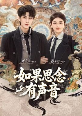 如果思念有声音 - 现代都市 2026
