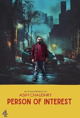 疑犯追踪 - 剧情片 2024