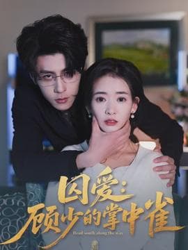 囚爱：顾少的掌中雀 - 女频恋爱 (2026) 海报