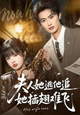 夫人她逃他追,她插翅难飞 - 年代穿越 (2026) 海报