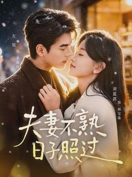 夫妻不熟，日子照过 - 女频恋爱 (2026) 海报