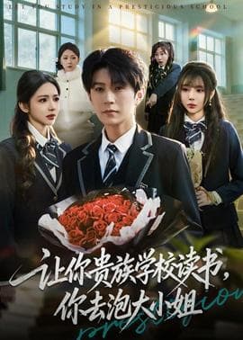 让你贵族学校读书，你去泡大小姐 - 现代都市 2026