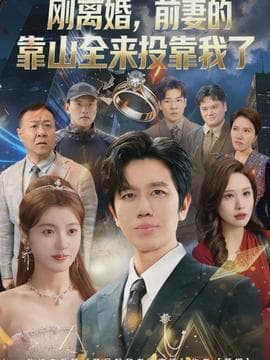 离婚，前妻的靠山全来投靠我了 - 现代都市 (2026) 海报