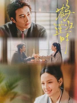 鹤归瑾时 - 现代都市 2026