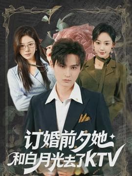 订婚前夕她和白月光去了 KTV - 现代都市 2026