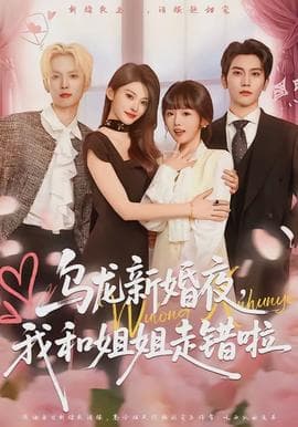 乌龙新婚夜，我和姐姐走错啦 - 现代都市 (2026) 海报