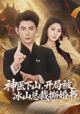 神医下山，开局被冰山总裁撕婚书 - 现代都市 (2026) 海报
