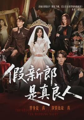 假新郎是真良人 - 现代都市 (2026) 海报