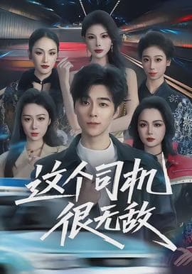 这个司机很无敌 - 现代都市 2026