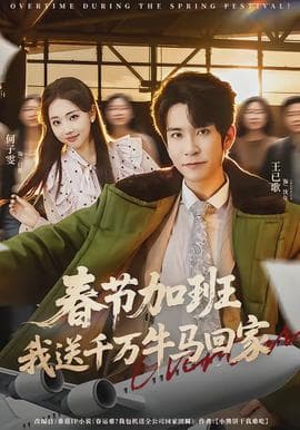 春节加班，我送千万牛马回家 - 现代都市 (2026) 海报