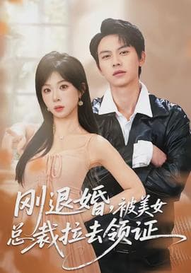 刚退婚，被美女总裁拉去领证 - 现代都市 2026
