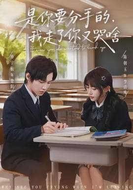 是你要分手的，我走了你又哭啥 - 现代都市 (2026) 海报