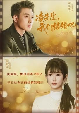 凌先生，我们结婚吧 - 现代都市 (2026) 海报