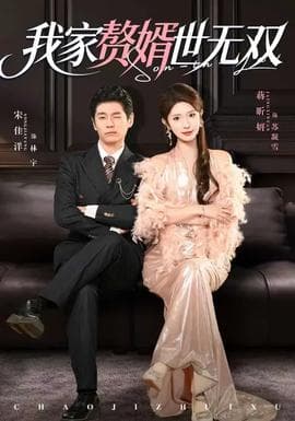 我家赘婿世无双 - 现代都市 (2026) 海报