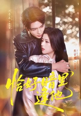 恰好暗里逢他 - 女频恋爱 (2026) 海报