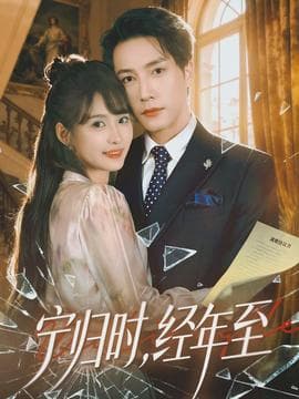 宁归时，经年至 - 女频恋爱 2026