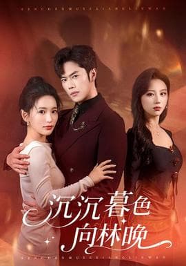沉沉暮色向林晚 - 女频恋爱 2026