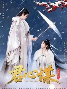 君心谋 - 古装仙侠 2026