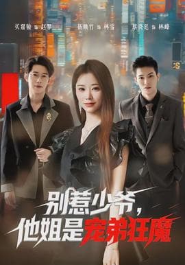 别惹少爷,他姐是宠弟狂魔 - 现代都市 (2026) 海报