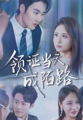 领证当天成陌路 - 现代都市 (2026) 海报