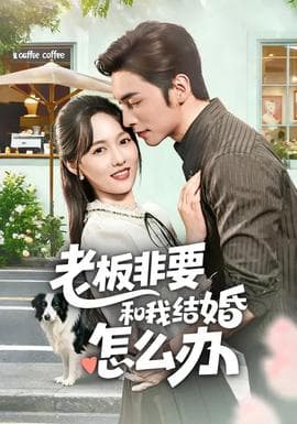 老板非要和我结婚怎么办 - 女频恋爱 2026