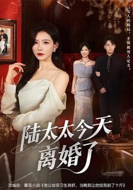 陆太太今天离婚了 - 现代都市 (2026) 海报