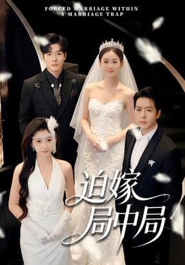 迫嫁局中局 - 现代都市 2026