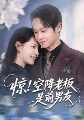 惊！空降老板是前男友 - 女频恋爱 2026