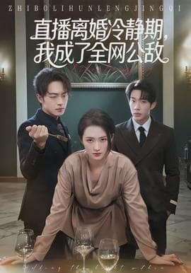 直播离婚冷静期,我成了全网公敌 - 现代都市 (2026) 海报
